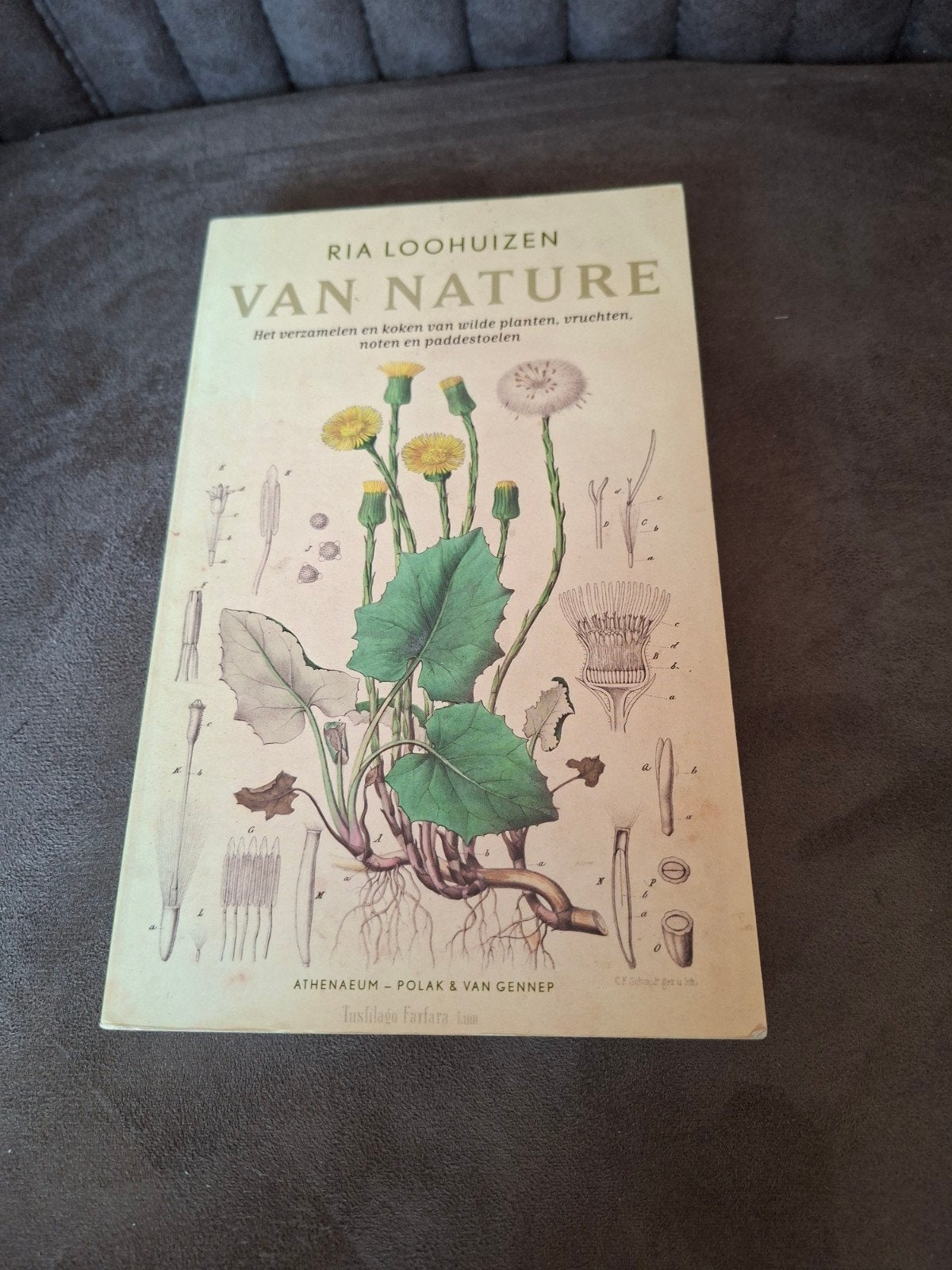 Van Nature - Ria Loohuizen (Wildplukken), Ophalen of Verzenden, Gelezen, Natuur algemeen, Ria Loohuizen