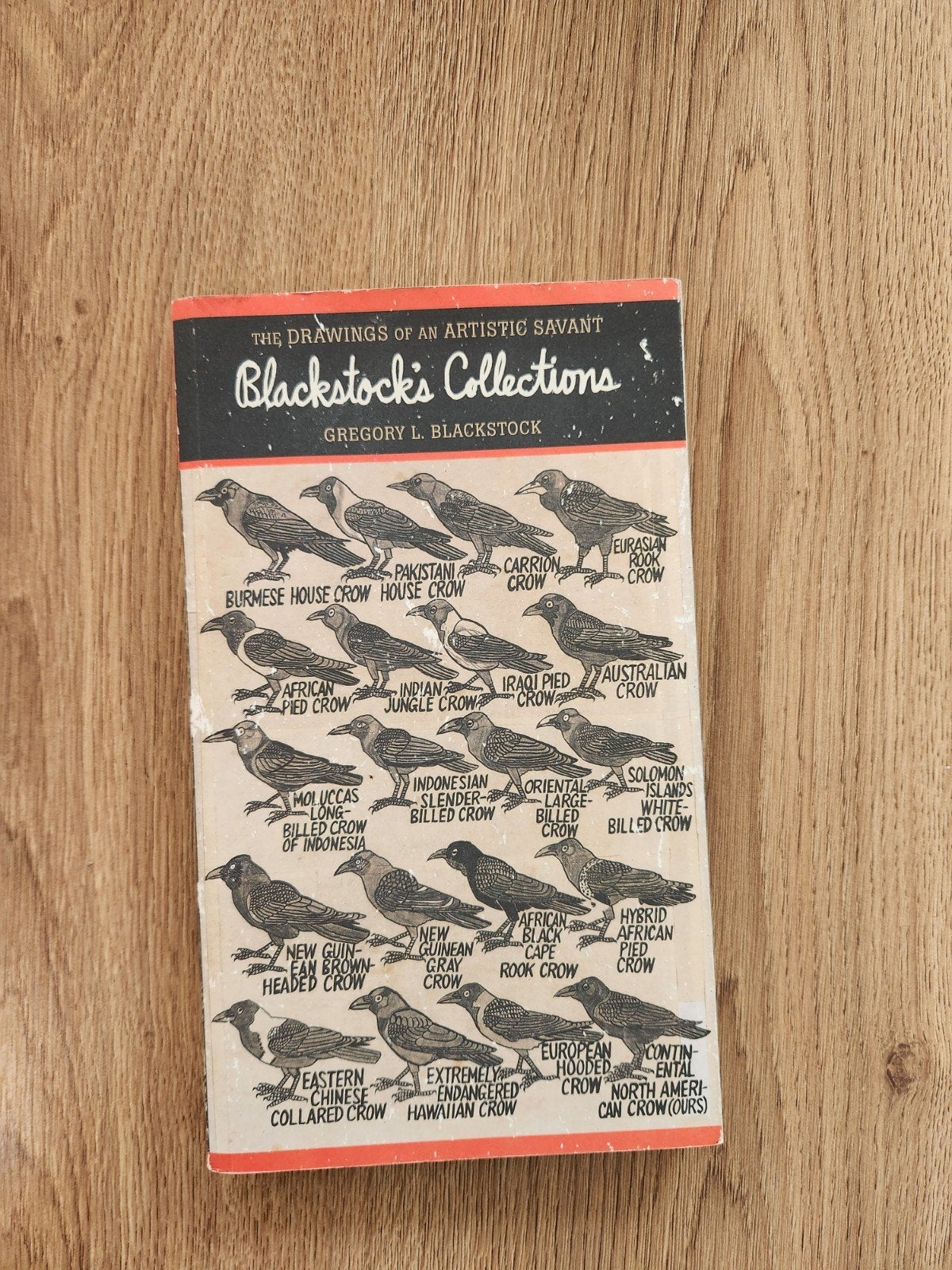 Gregory L. Blackstock: the drawings of an artistic savant, Ophalen of Verzenden, Zo goed als nieuw, Overige onderwerpen, Gregory L. Blackstock