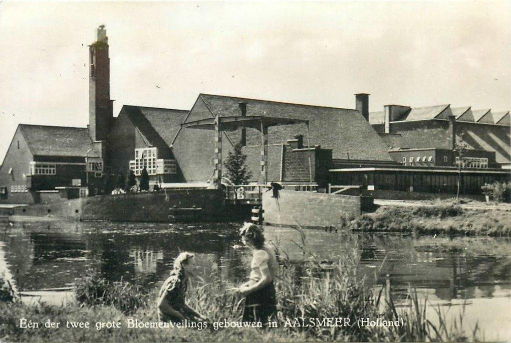 701-355-041 Aalsmeer Bloemenveiling, Verzenden, Voor 1920, Noord-Holland
