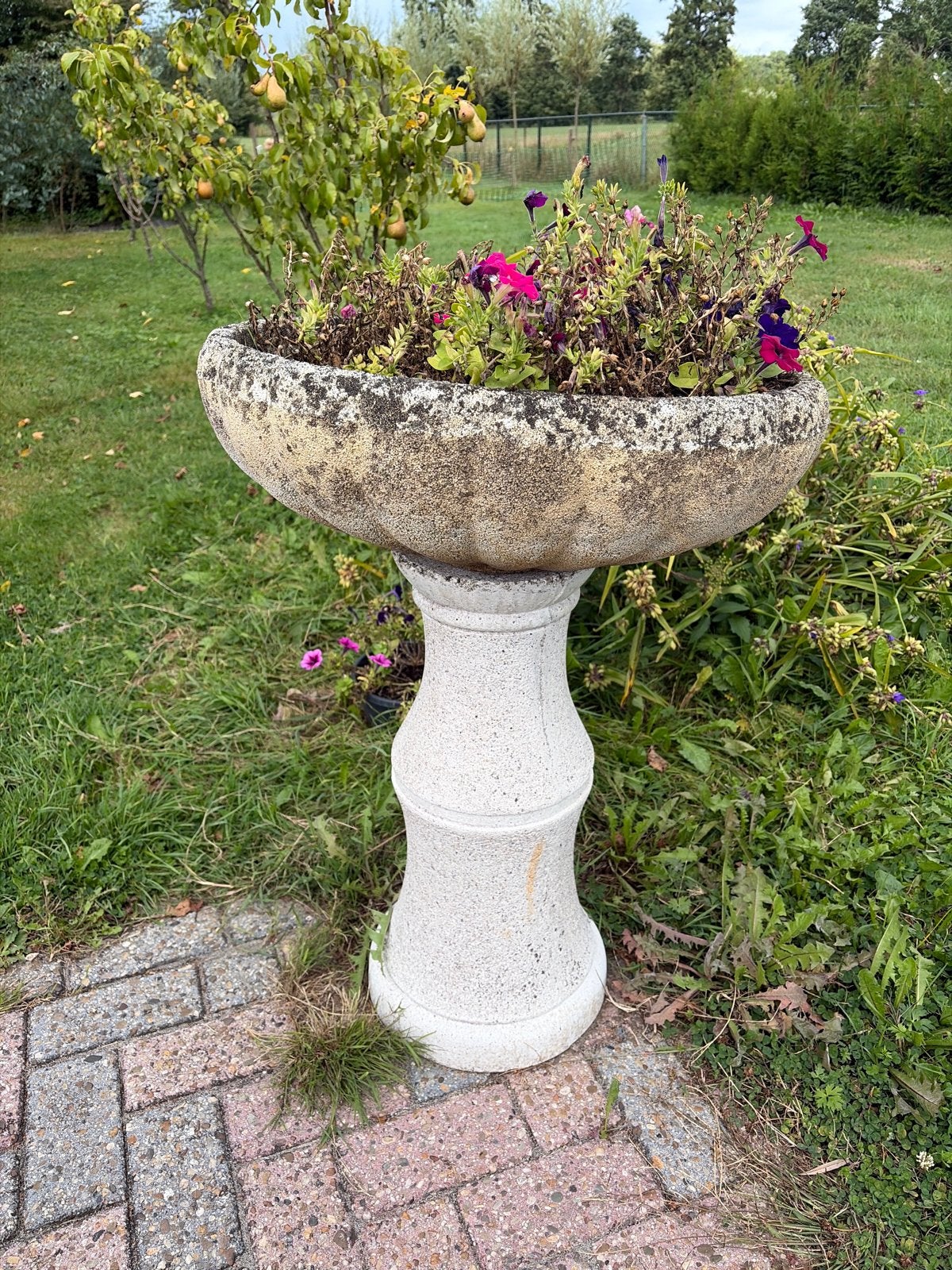 Decoratieve bloempot op voetstuk voor tuin of balkon, Ophalen, Gebruikt, Balkon, 40 cm of meer