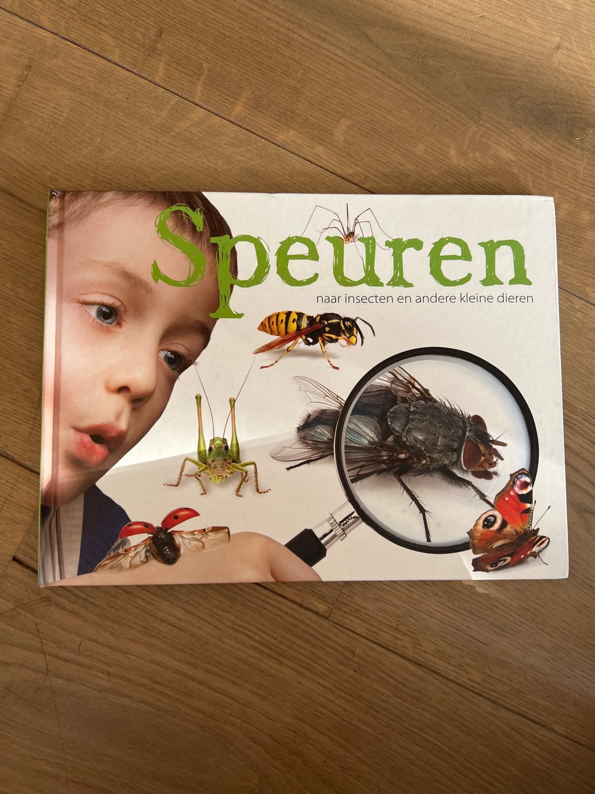 Boek Speuren: Insecten en kleine dieren (Libre), Ophalen of Verzenden, Zo goed als nieuw, Non-fictie
