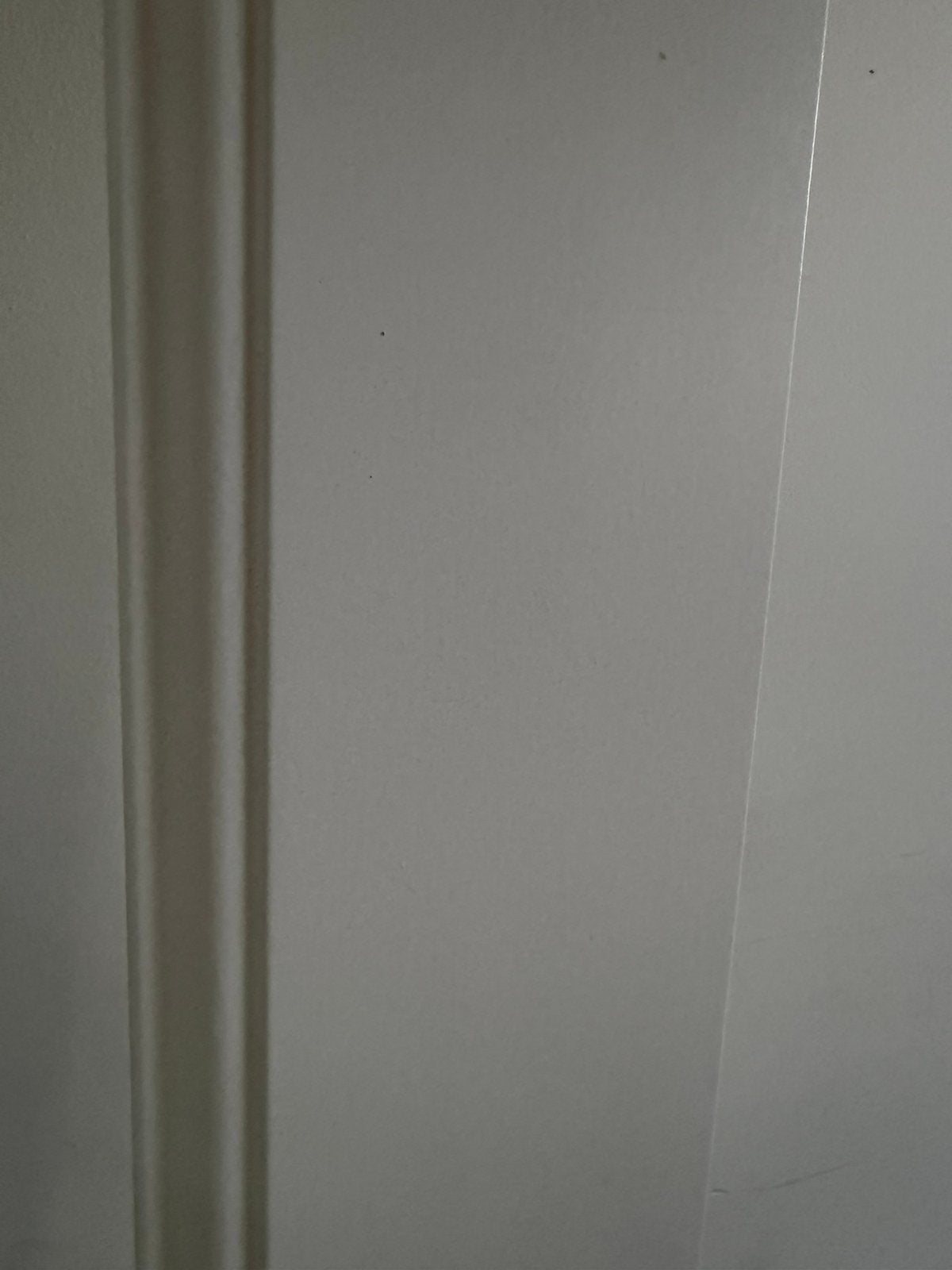 Plint Model Frans Wit 1,4 x 12 x 240 cm (gamma), Ophalen, Nieuw, Mdf, 250 cm of meer
