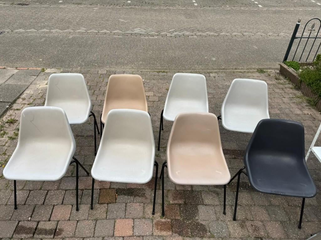 Plastic stoelen (Robin Day), Huis en Inrichting, Stoelen, Ophalen, Gebruikt, Metaal, Vijf, Zes of meer stoelen