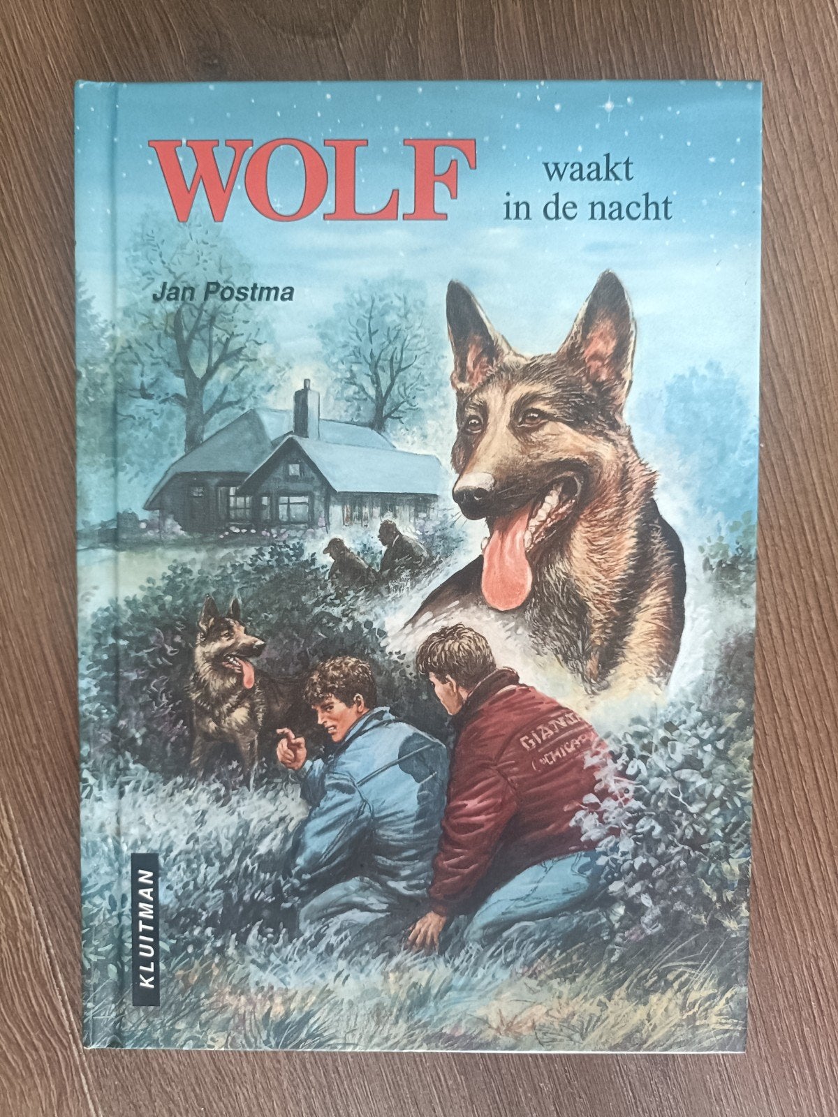 Wolf waakt in de nacht - Jan Postma, Ophalen, Gelezen, Jan Postma, Fictie algemeen