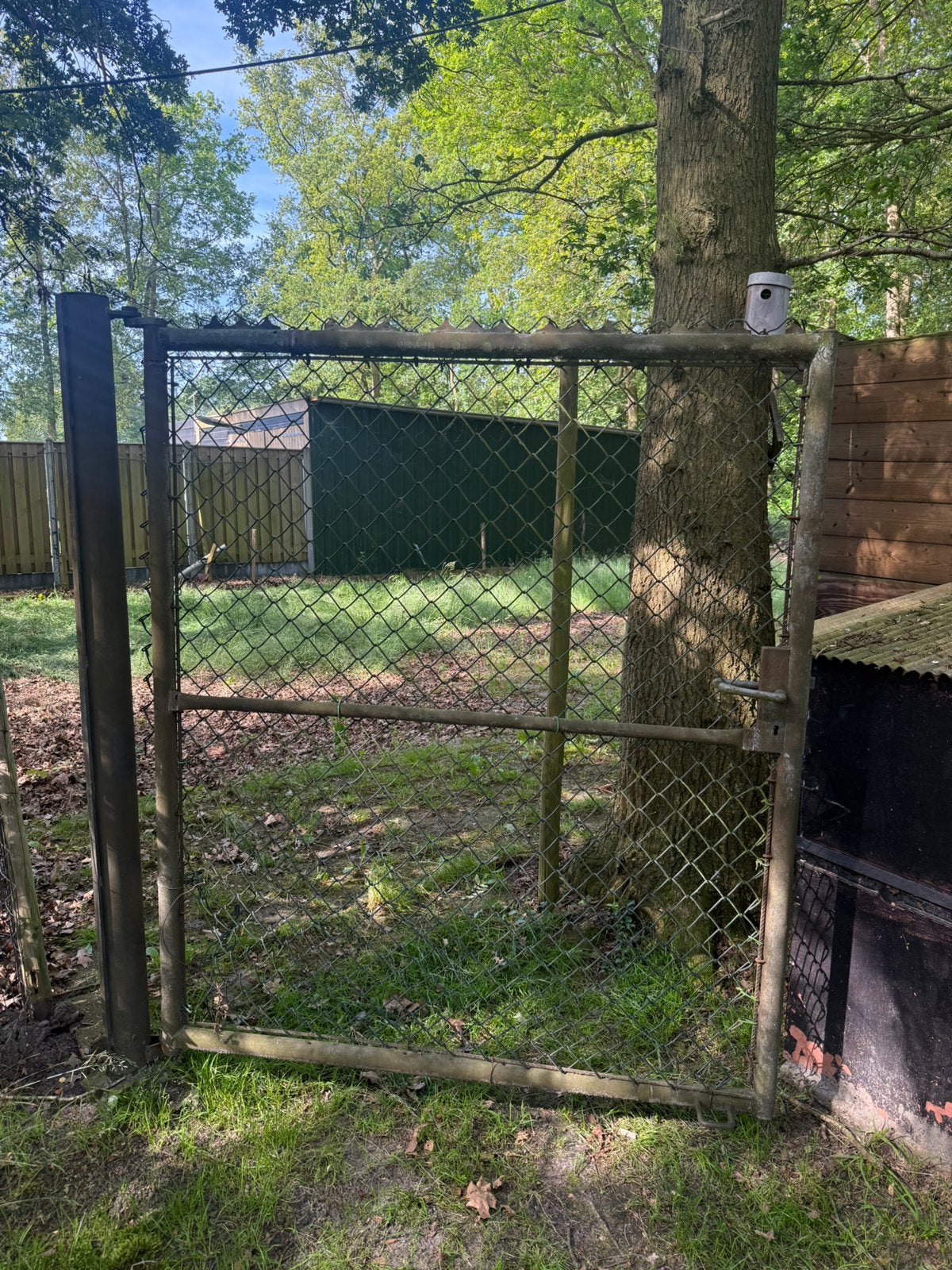 Poort, Tuin en Terras, Ophalen, Zo goed als nieuw, IJzer, Tuinhek