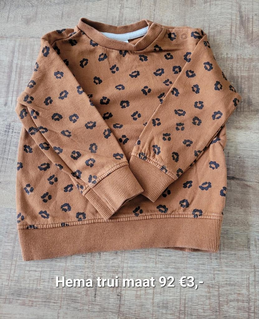 Hema trui maat 92, Kinderen en Baby's, Kinderkleding | Maat 92, Ophalen, Jongen of Meisje, Trui of Vest, Zo goed als nieuw