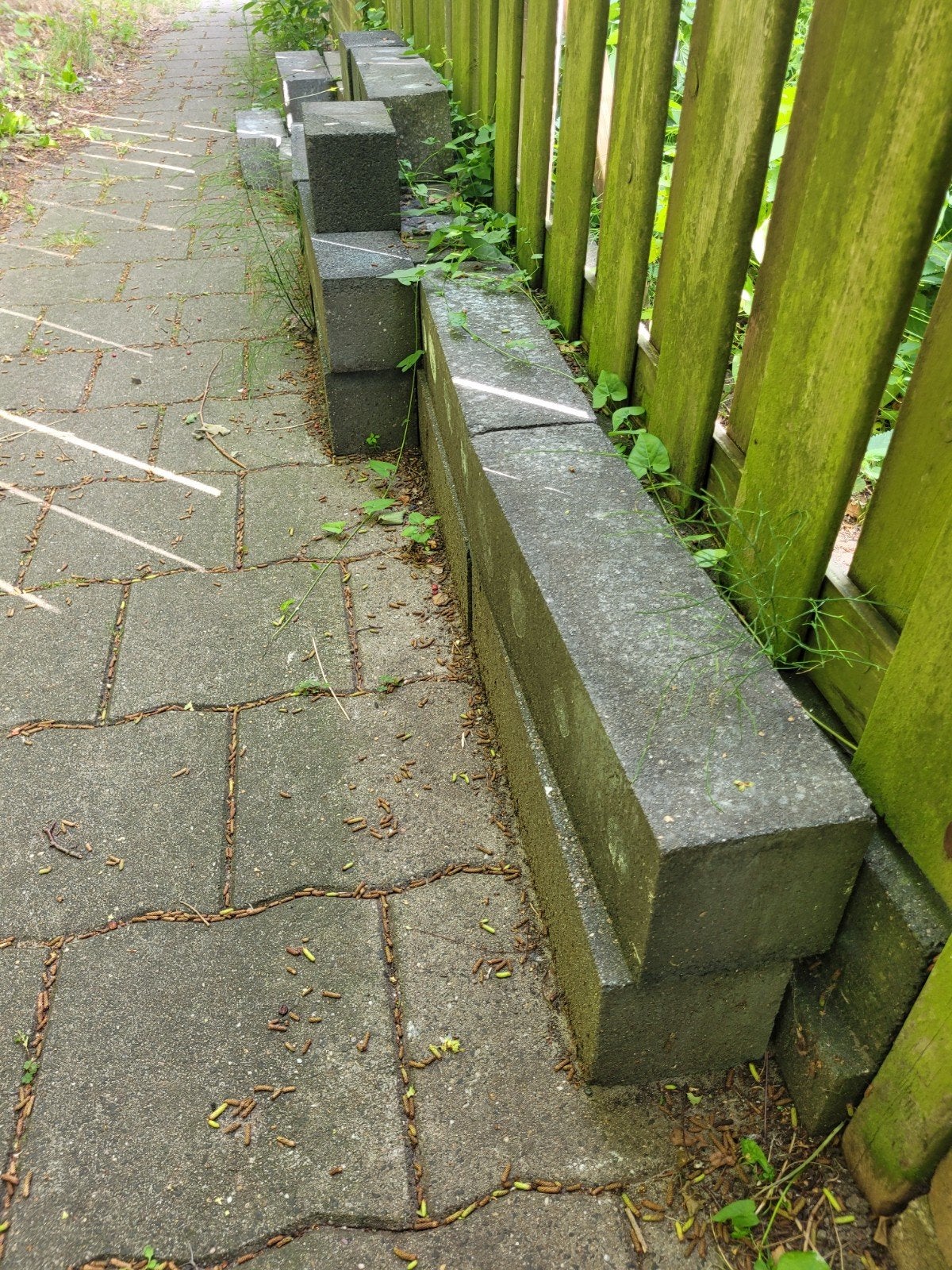 Gebruikte betonnen blokken voor tuin of border, Ophalen, Gebruikt, Blok, Minder dan 25 cm