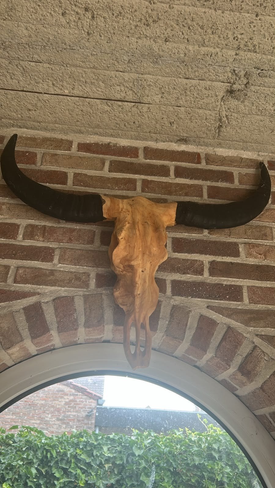 Unieke handgesneden buffelschedel van hout, Zoogdier, Wanddecoratie, Hout, Overige stijlen