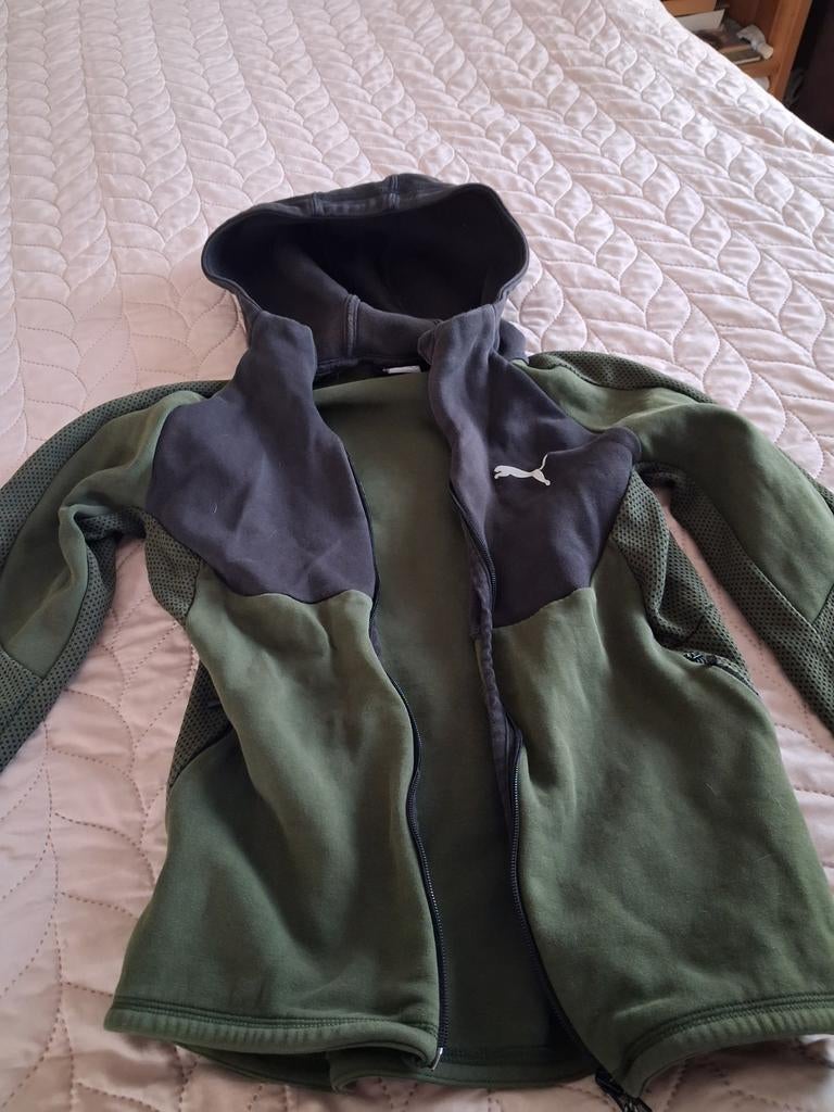 Vest puma, Ophalen
