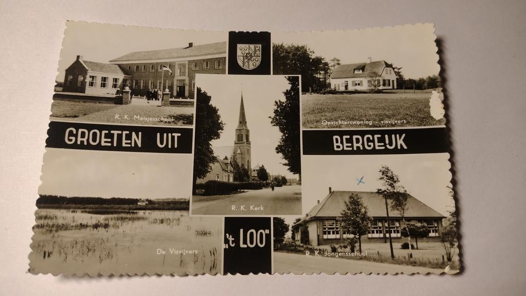 Bergeijk GROETEN UIT 't LOO, Verzamelen, Ansichtkaarten | Nederland, Ophalen of Verzenden, 1980 tot heden