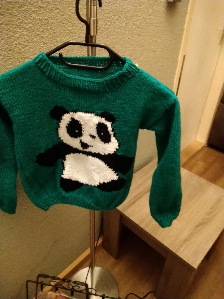kindertrui, Ophalen of Verzenden, Nieuw, Meisje, Trui of Vest