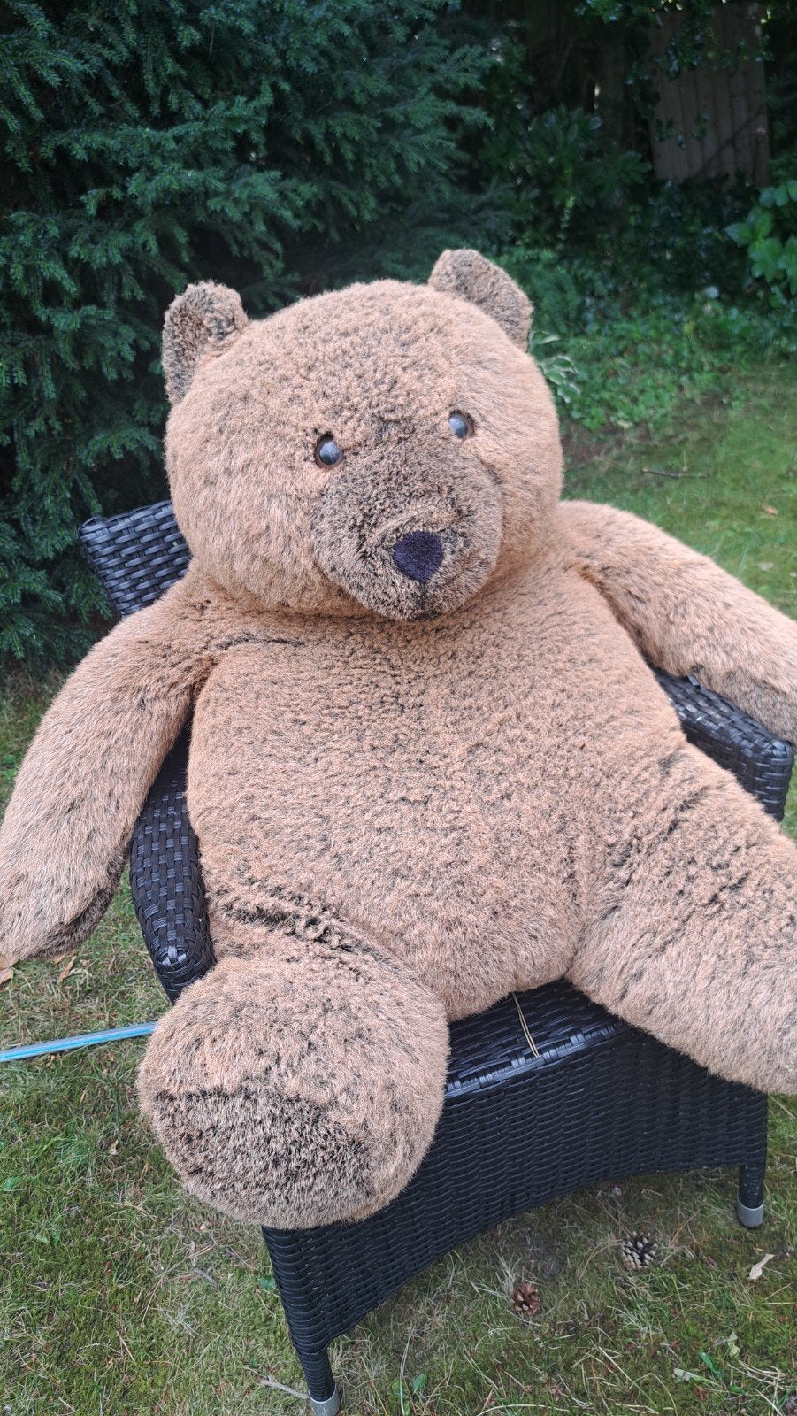Grote bruine teddybeer - knuffelbeer, Ophalen, Gebruikt, Beer, Met label