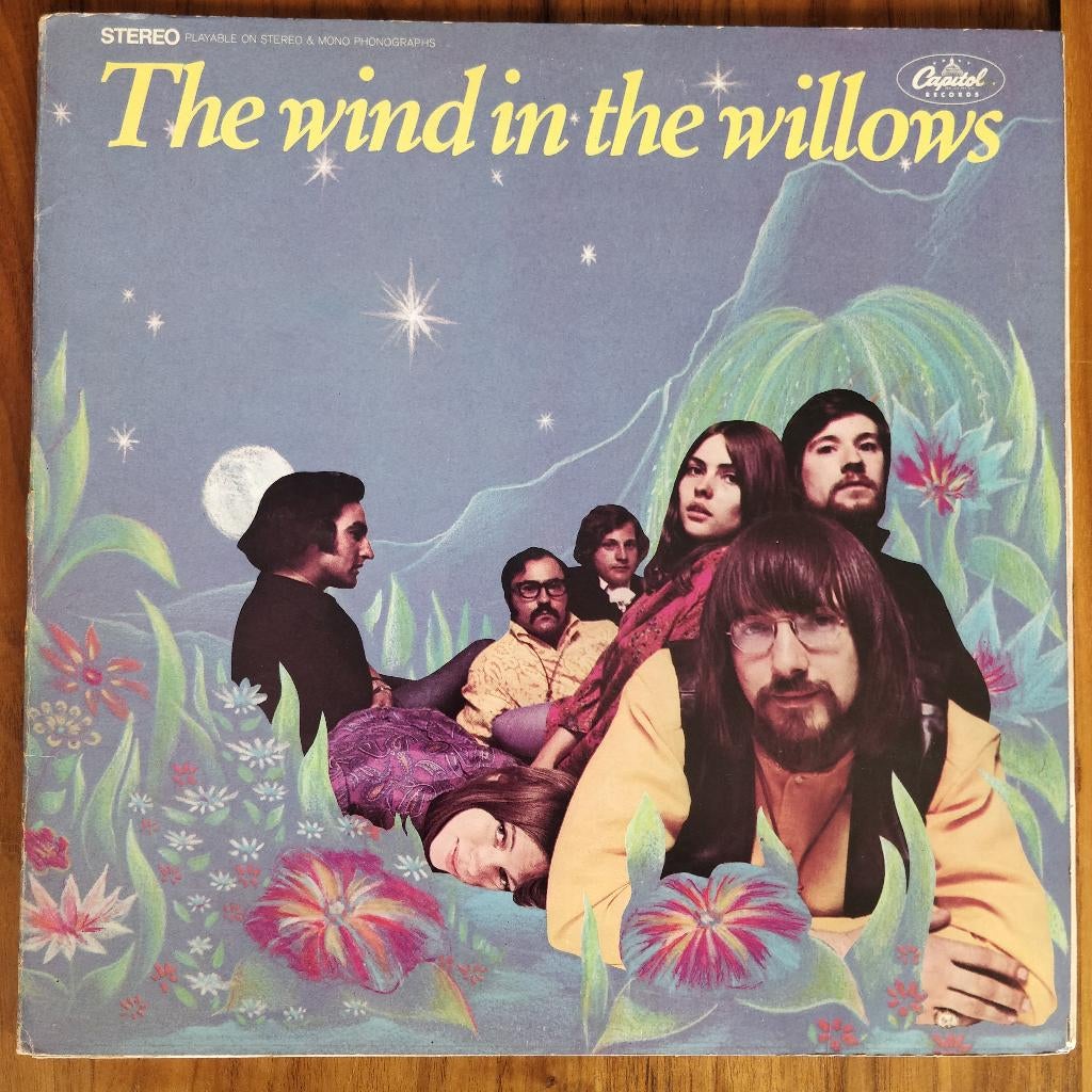 LP - The Wind In The Willows, Ophalen of Verzenden, Gebruikt, 12 inch, Poprock
