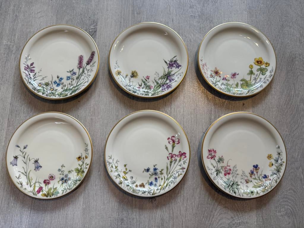 Vintage Selb Bavaria Wiesengrund bordjes – set van 6, Antiek en Kunst, Antiek | Servies compleet, Ophalen of Verzenden