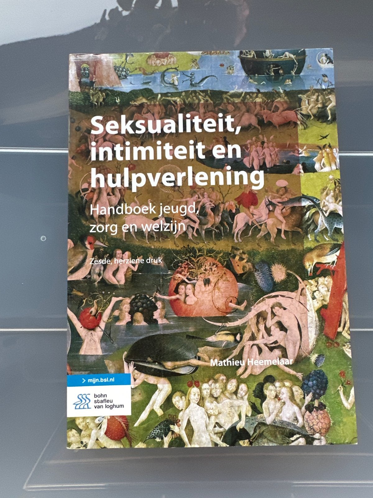 Seksualiteit, intimiteit en hulpverlening - Handboek, Boeken, Studieboeken en Cursussen, Ophalen of Verzenden, Gamma, Zo goed als nieuw