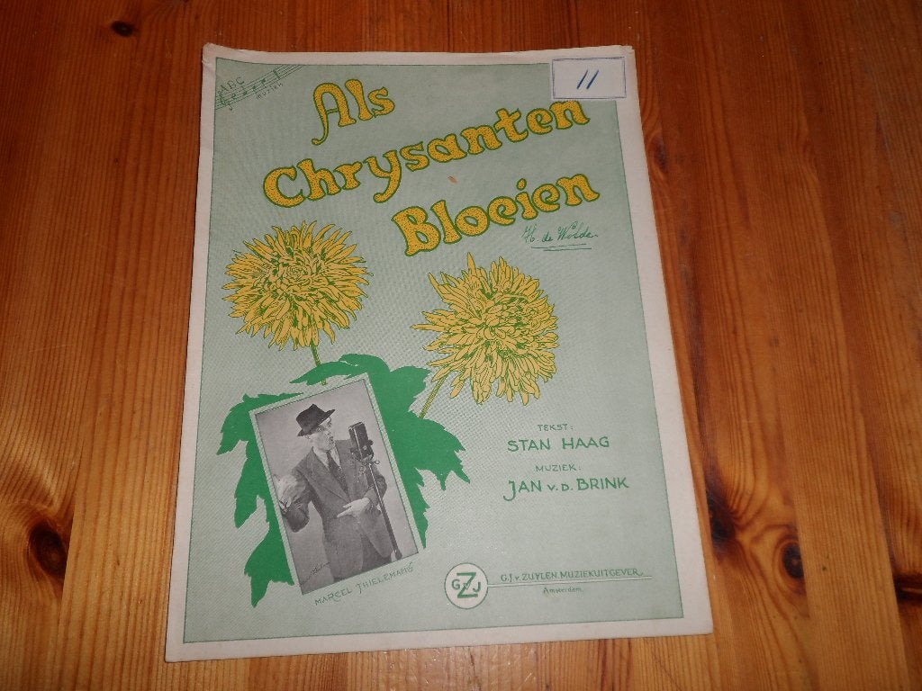 Als chrysanten bloeien - jan van de brink / stan haag, Zang, Gebruikt, Ophalen of Verzenden, Artiest of Componist
