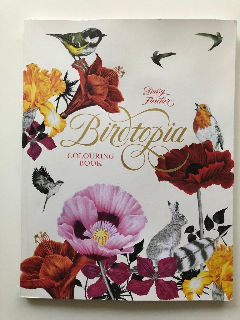 Birdtopia, Verzenden, Zo goed als nieuw, Tekenen en Schilderen, Daisy Fletcher