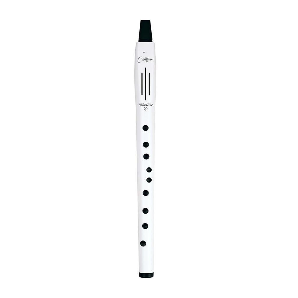 Carry-On Digital Wind Instrument 2 White digitaal, Muziek en Instrumenten, ., Nieuw, Ophalen of Verzenden, .