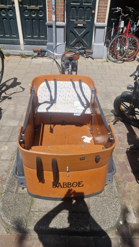 Babboe Curve Bakfiets - Elektrisch met zitjes, Fietsen en Brommers, Fietsen | Bakfietsen, Gebruikt, Overige merken, 2 kinderen
