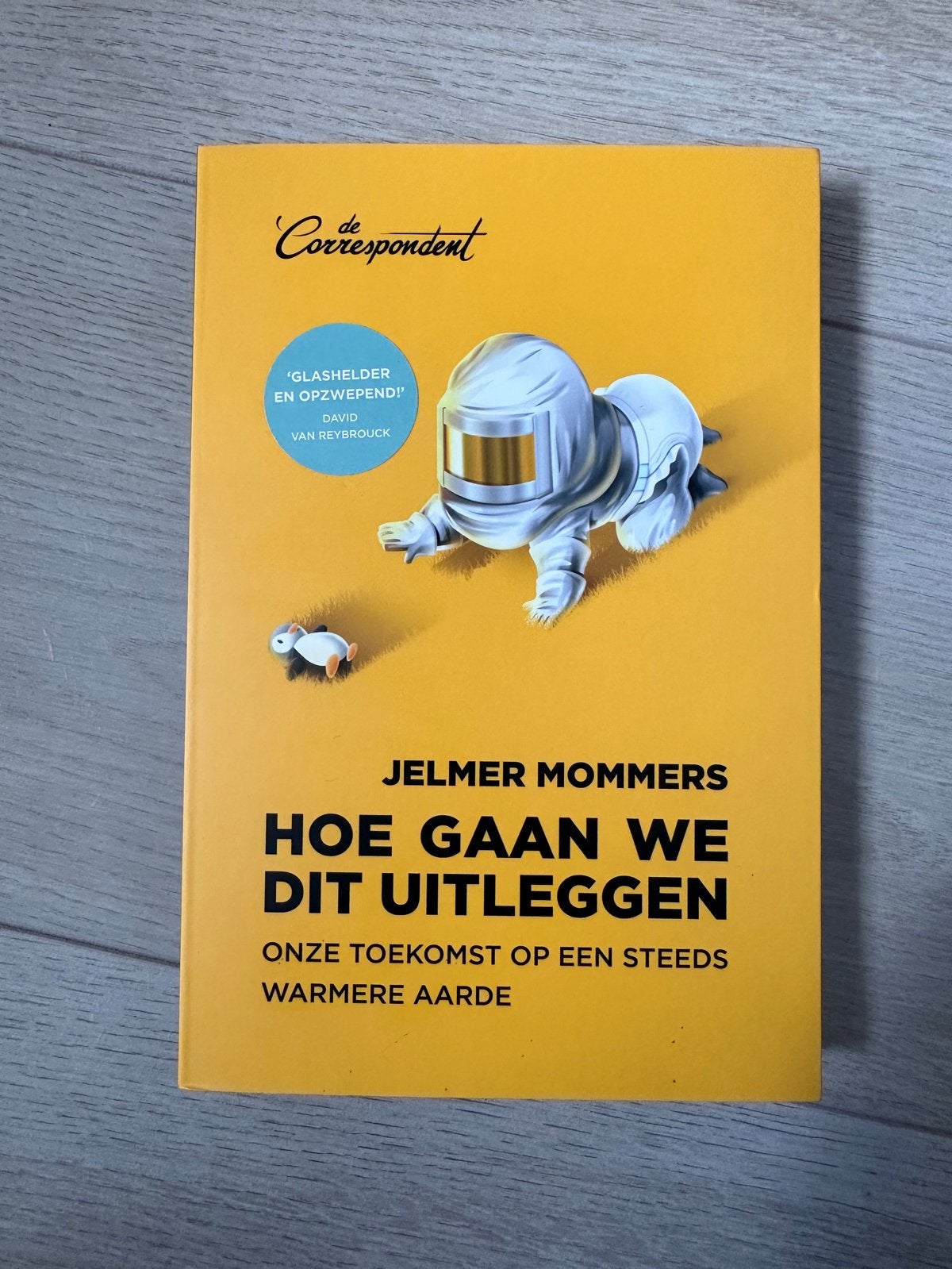 Hoe gaan we dit uitleggen - Jelmer Mommers, Ophalen, Zo goed als nieuw, Nederland
