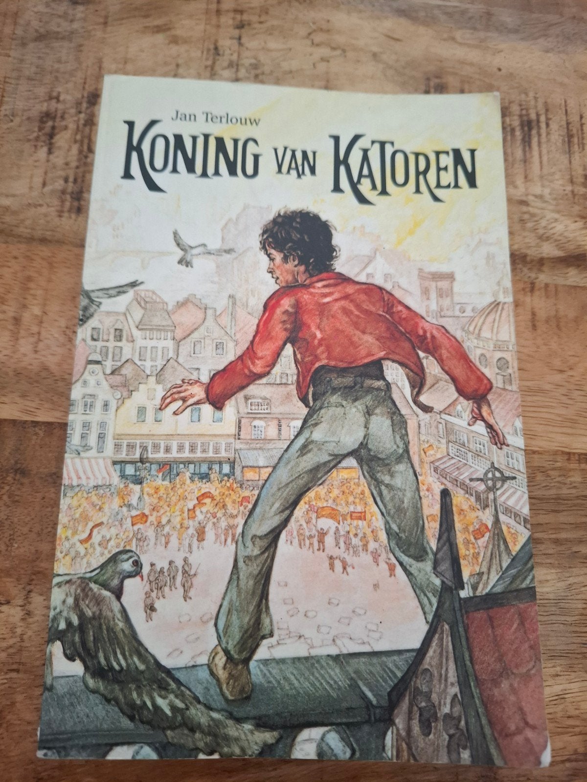 Jan Terlouw - Koning van Katoren, Boeken, Ophalen of Verzenden, Gelezen, Jan Terlouw