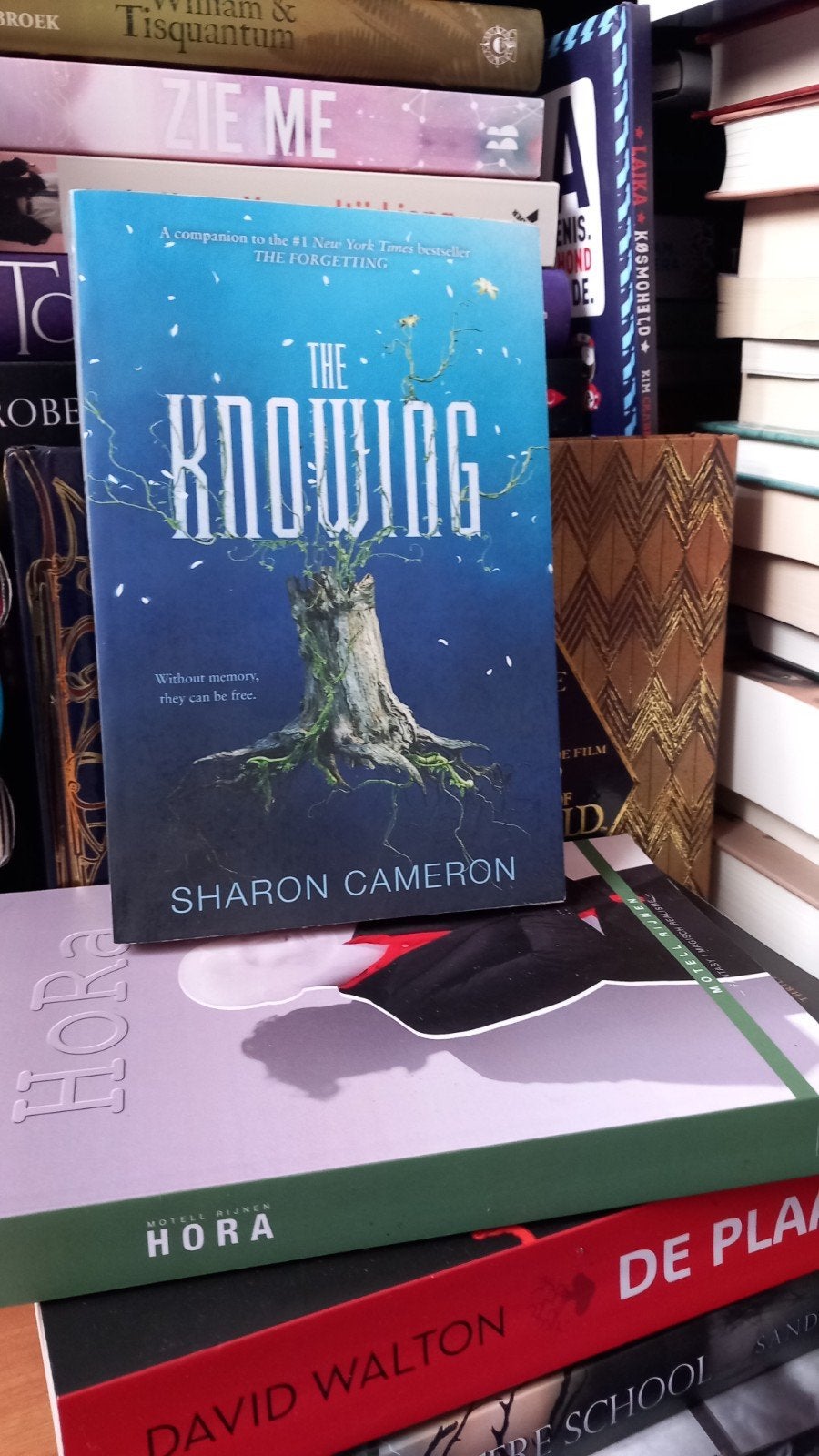 The Knowing - Sharon Cameron (Engels), Ophalen of Verzenden, Zo goed als nieuw, Sharon Cameron