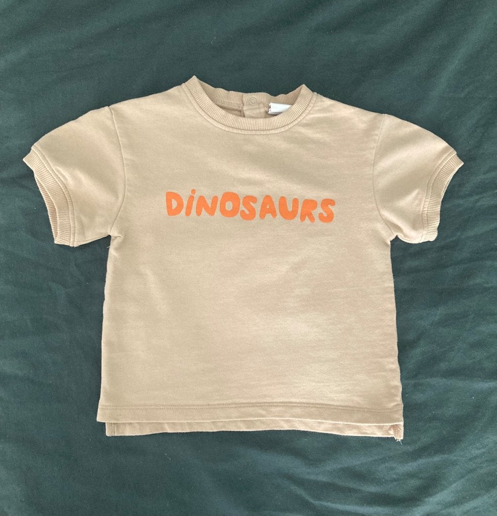 T-shirt maat 86 HEMA Dinosaurs, Kinderen en Baby's, Babykleding | Maat 86, Jongetje of Meisje, Ophalen of Verzenden, Zo goed als nieuw