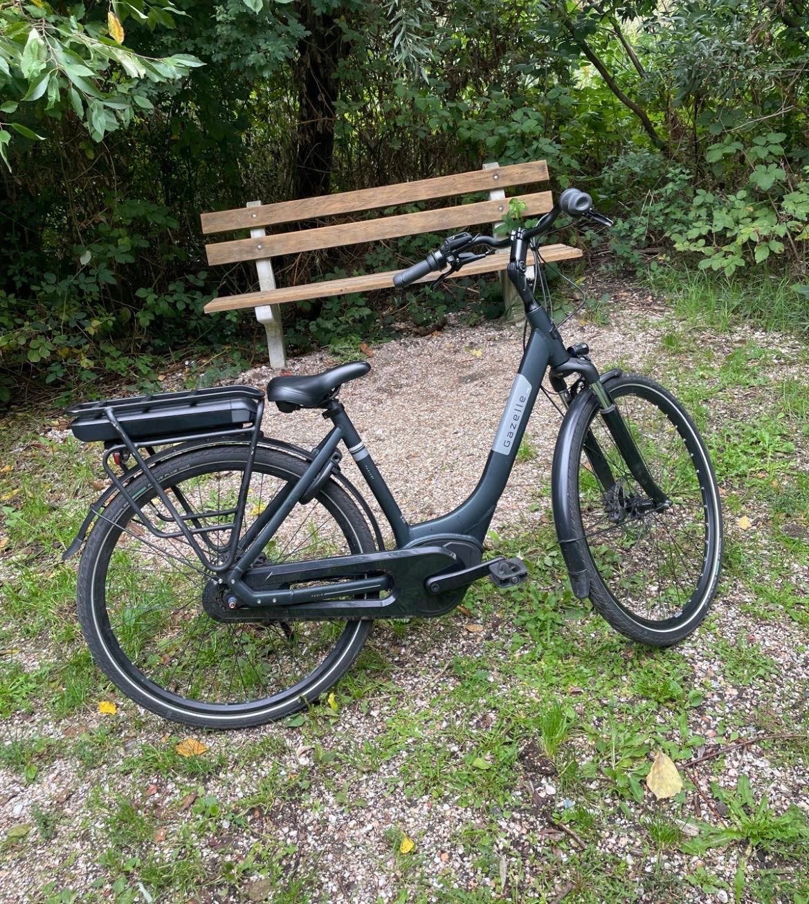 Foto 3 van Gazelle met nieuwe bosch motor