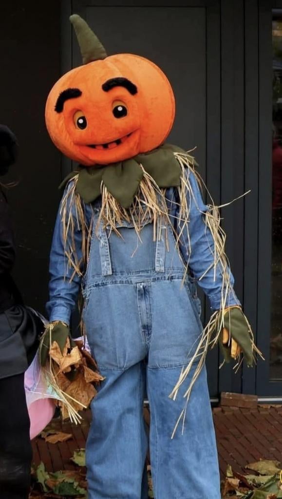 Mascotte pak € 290,- Halloween Vogeverschrikker, Ophalen of Verzenden