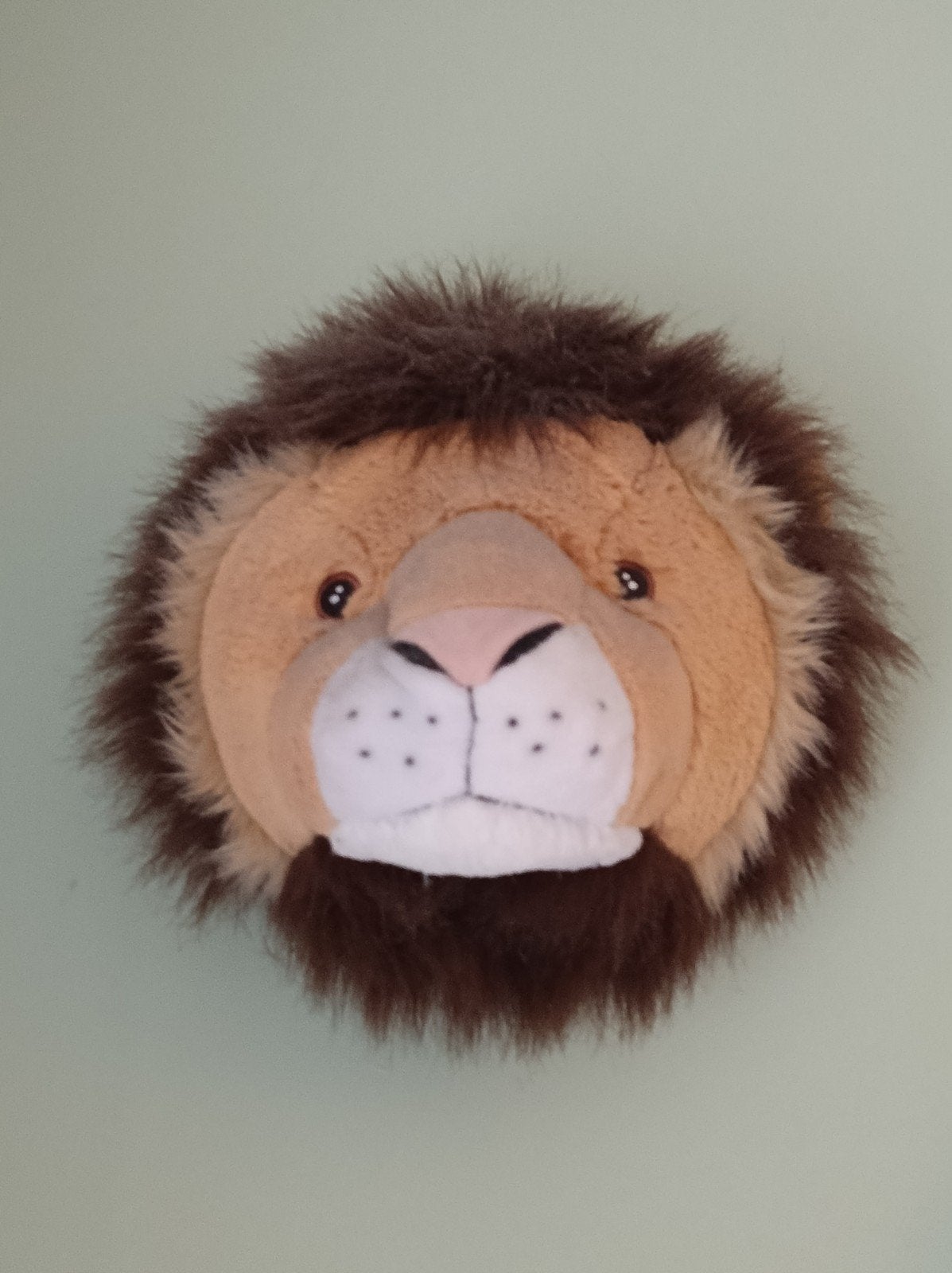 leeuwenkop voor een jungle kamer, Ophalen of Verzenden, Wanddecoratie