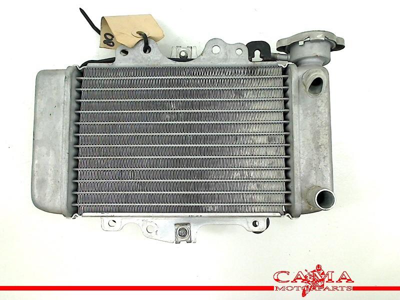 Radiateur Honda Dylan (PS150i) (1970-01/..) 713080, Honda, Gebruikt, Hanauer Landstraße  222-224, Frankfurt am Main 60314, , Duitsland