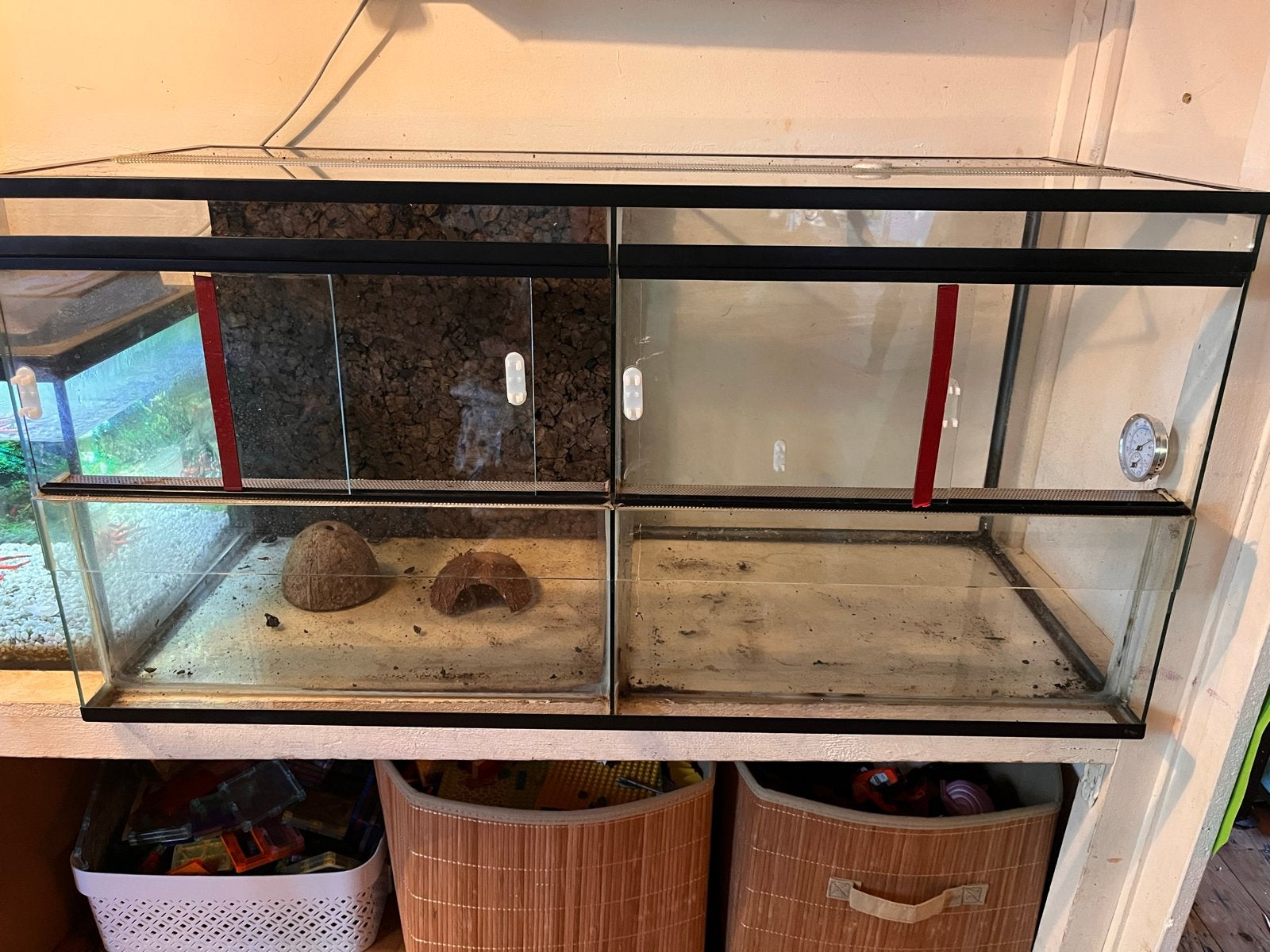 Terrarium met twee aparte verblijven 90bx45hx40d, Ophalen, Zo goed als nieuw