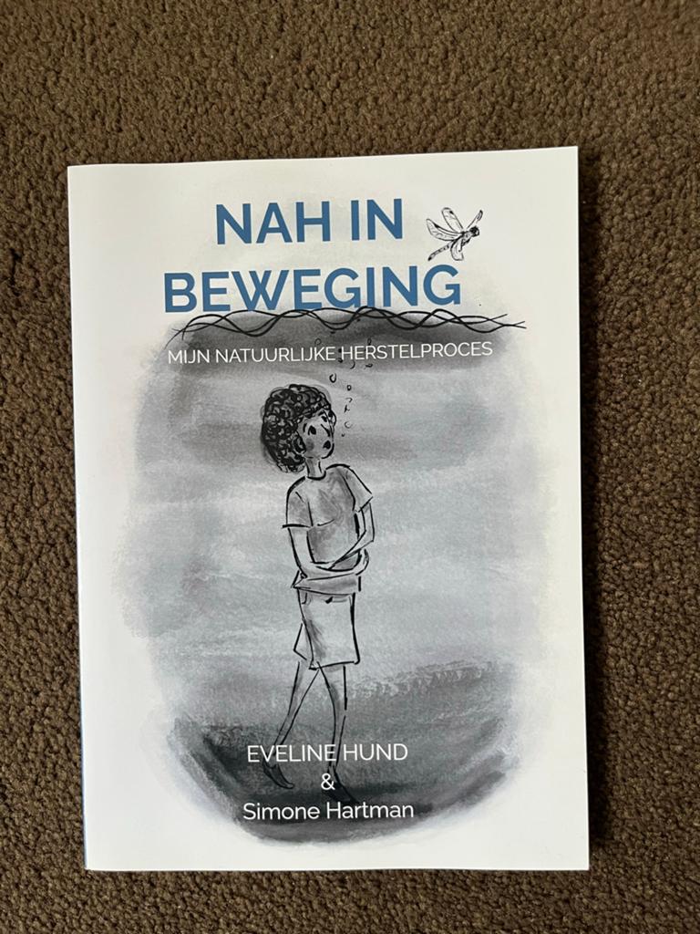 Simone Hartman - NAH in beweging, Boeken, Simone Hartman, Sociale wetenschap, Ophalen of Verzenden, Zo goed als nieuw