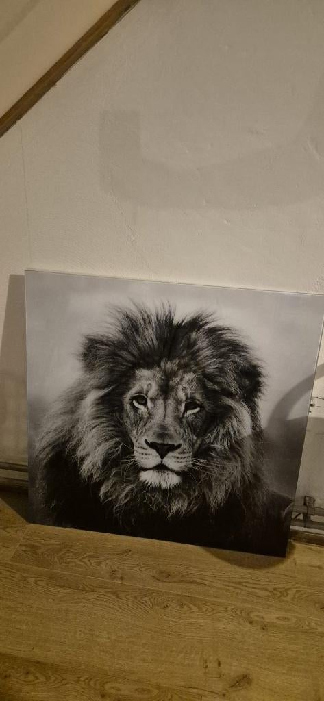 leeuw schilderij glas, Ophalen, Zo goed als nieuw, Schilderij, 75 tot 100 cm