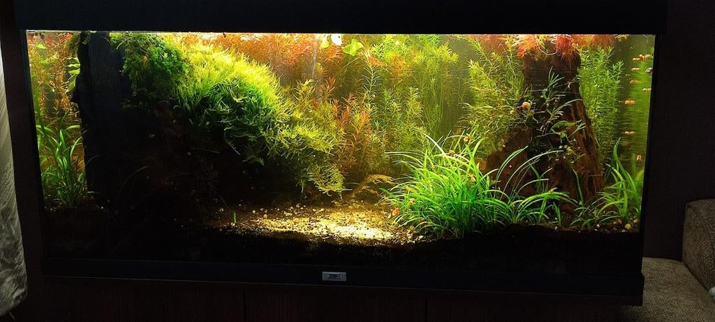 Compleet aquarium (101x41x50), Ophalen