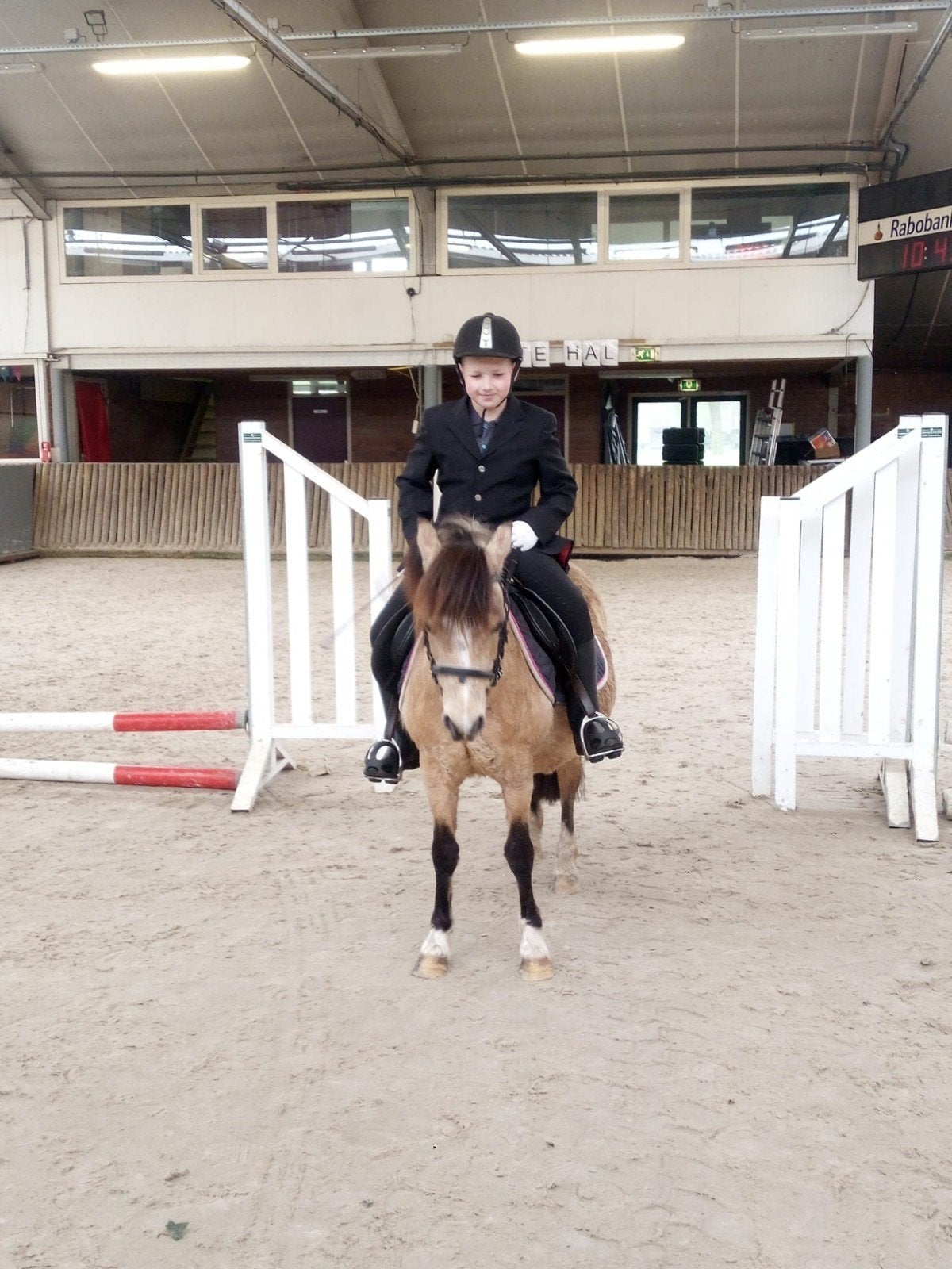 Super brave A welsh merrie, Merrie, Met stamboom, A pony (tot 1.17m), L