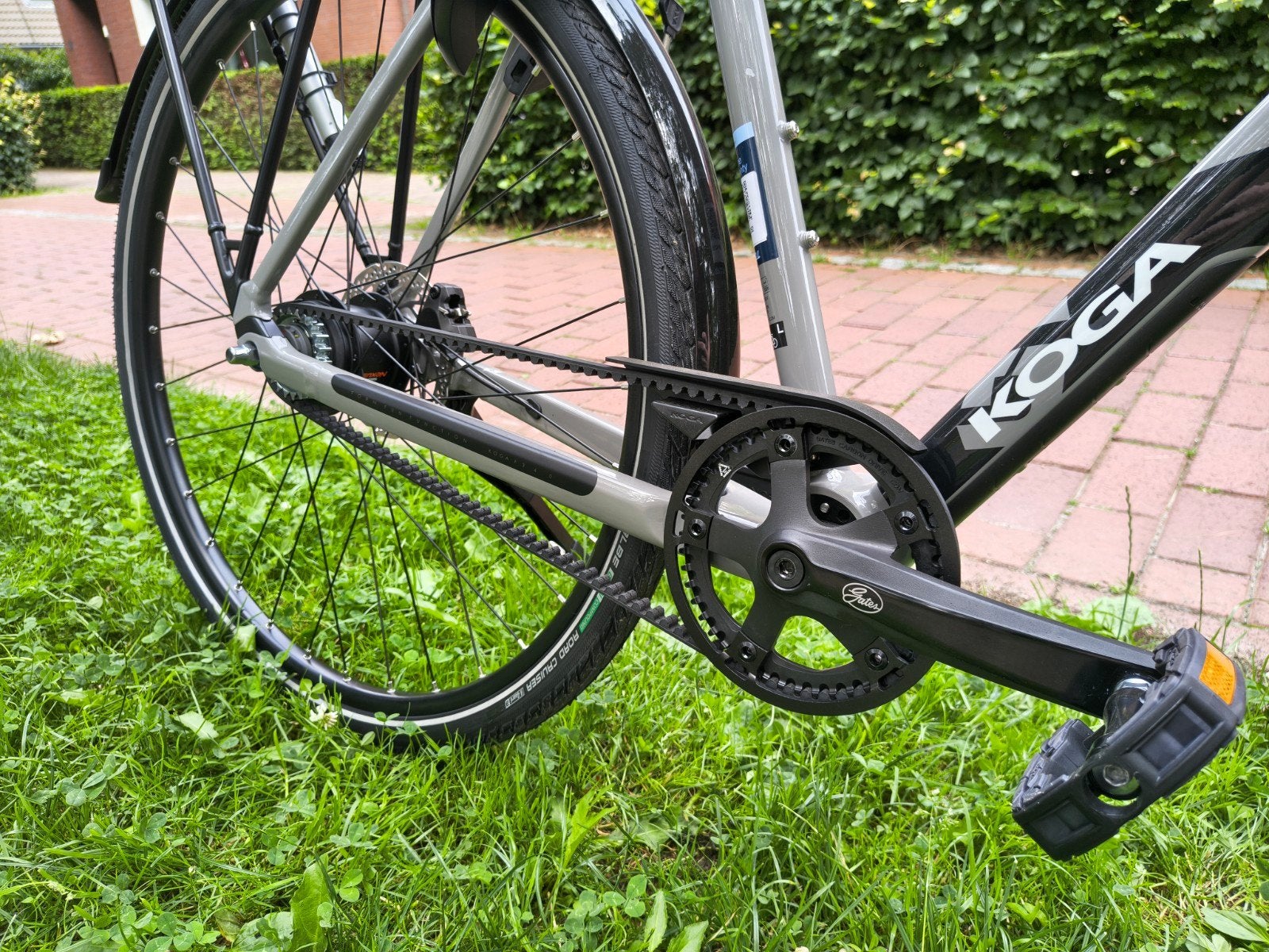 Koga F3 4.0 | Gates riem | Nexus 8 | €350 Korting!, Koga, Nieuw, Ophalen of Verzenden, 57 tot 61 cm