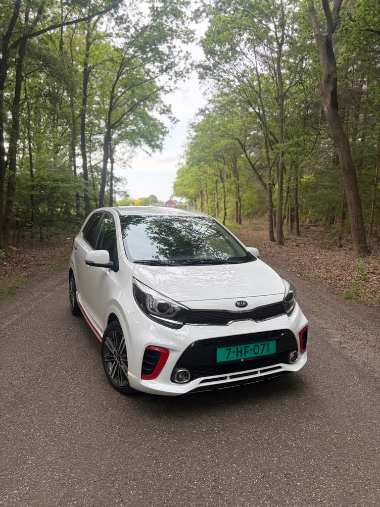 Kia Picanto 1.0 MPI GT-Line, Auto's, Voorwielaandrijving, Wit, Leder, Bedrijf