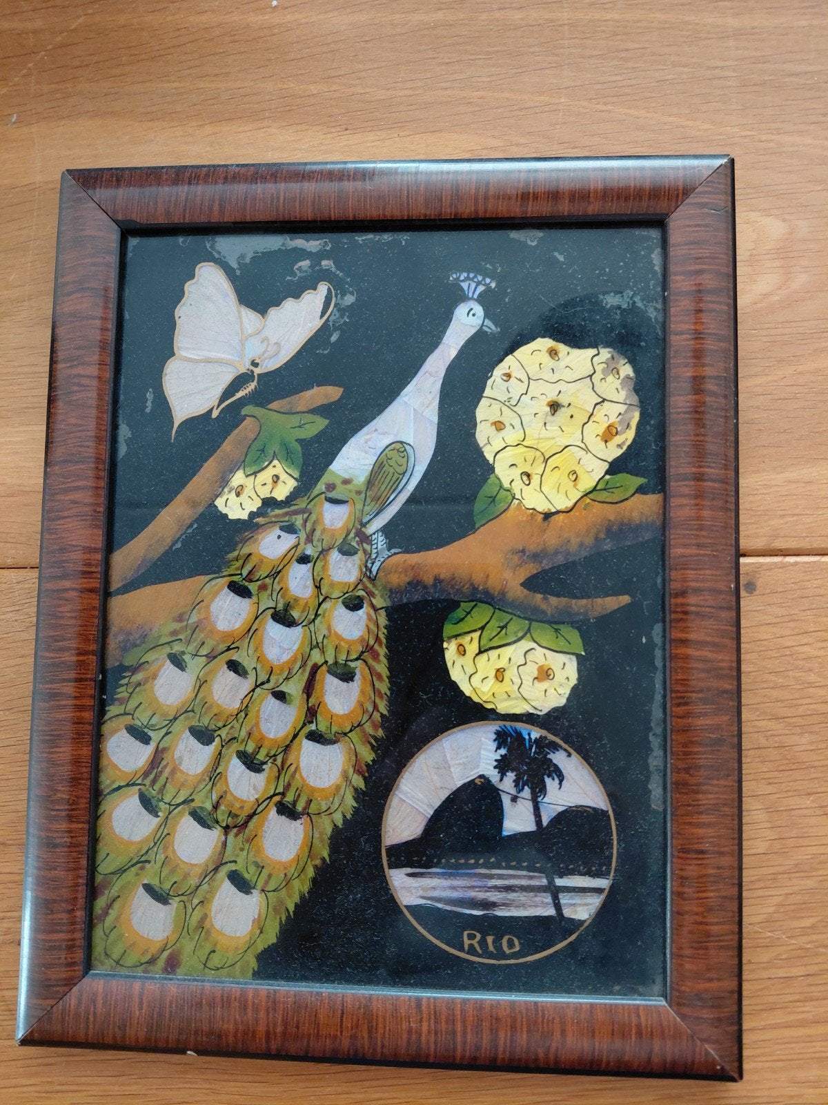 Vintage vlindervleugel kunstwerk pauw en Rio tafereel, Ophalen of Verzenden