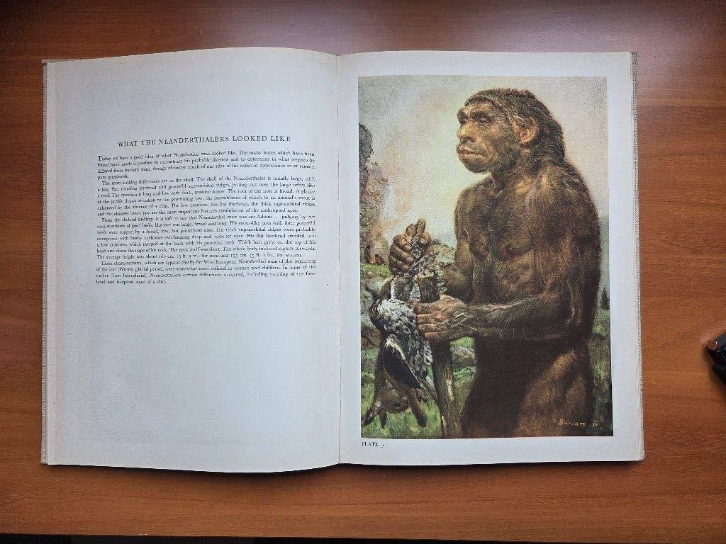De Neanderthaler Prehistoric Man, Ophalen of Verzenden, Zo goed als nieuw, Natuurwetenschap