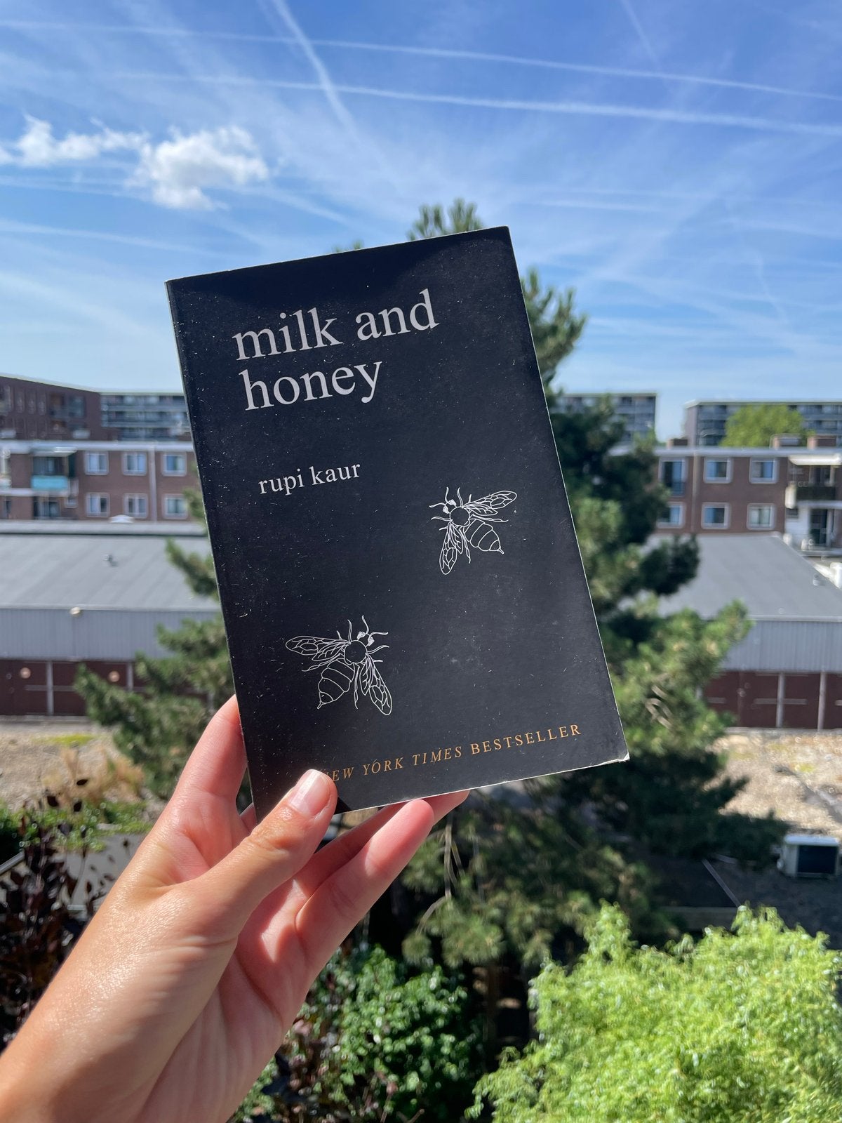 Milk and Honey - Rupi Kaur (Engels), Ophalen of Verzenden, Gelezen, Amerika