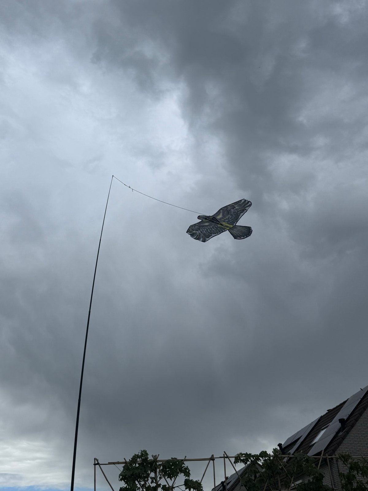 Vlieger vogelverschrikker valk  met mast 4 mtr, Ophalen of Verzenden, Nieuw