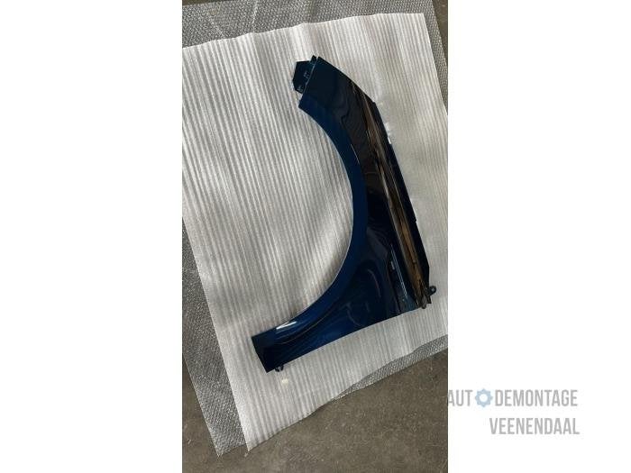 Scherm links-voor van een Renault Megane (TERPR), -, Renault, -, Nieuw