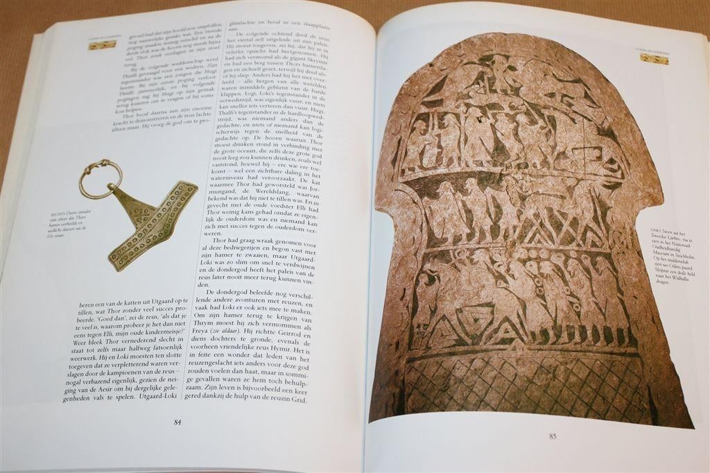 Viking Mythologie — Mythen van Odin [Rijk Geïllustreerd], Ophalen of Verzenden, Zo goed als nieuw, Europa