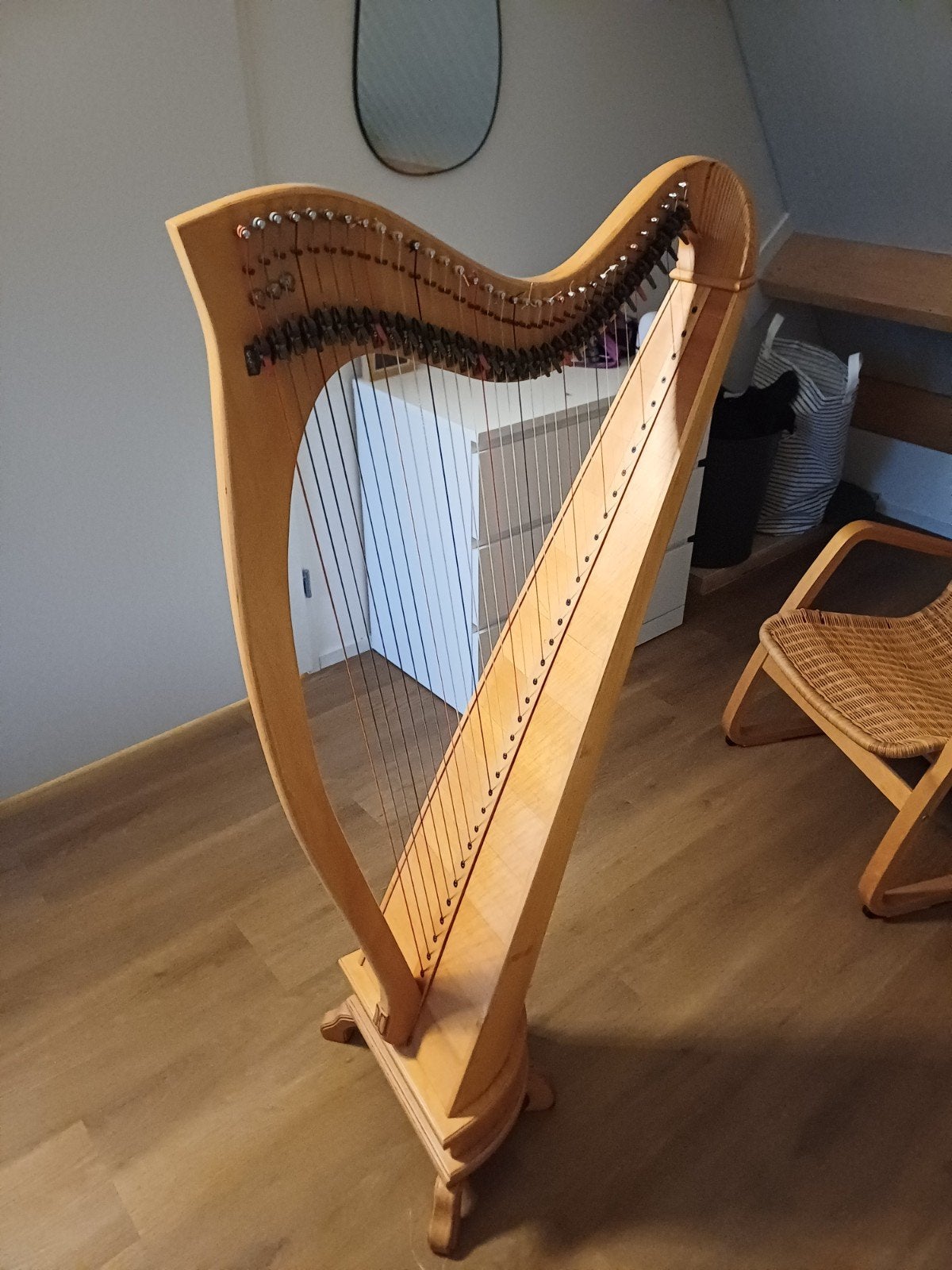 Haakjesharp, Muziek en Instrumenten, Ophalen, Gebruikt