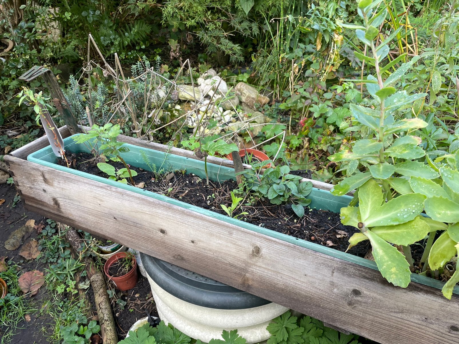 Balkonbak met 8 tuinplanten & haken. Gifvrije plantjes, Tuin en Terras, Ophalen, Overige soorten, Volle zon