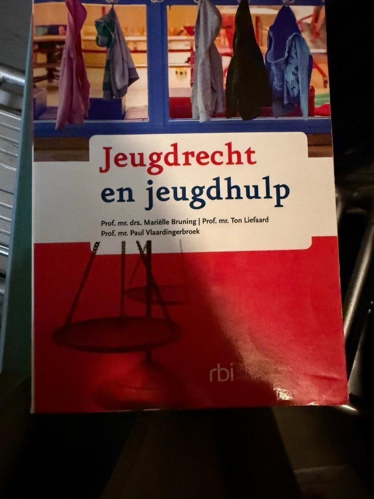 Jeugdrecht en Jeugdhulp - Studieboek, Gelezen, Mariëlle Bruning, Ton Liefaard, Paul Vlaardingerbroek, Ophalen of Verzenden, WO