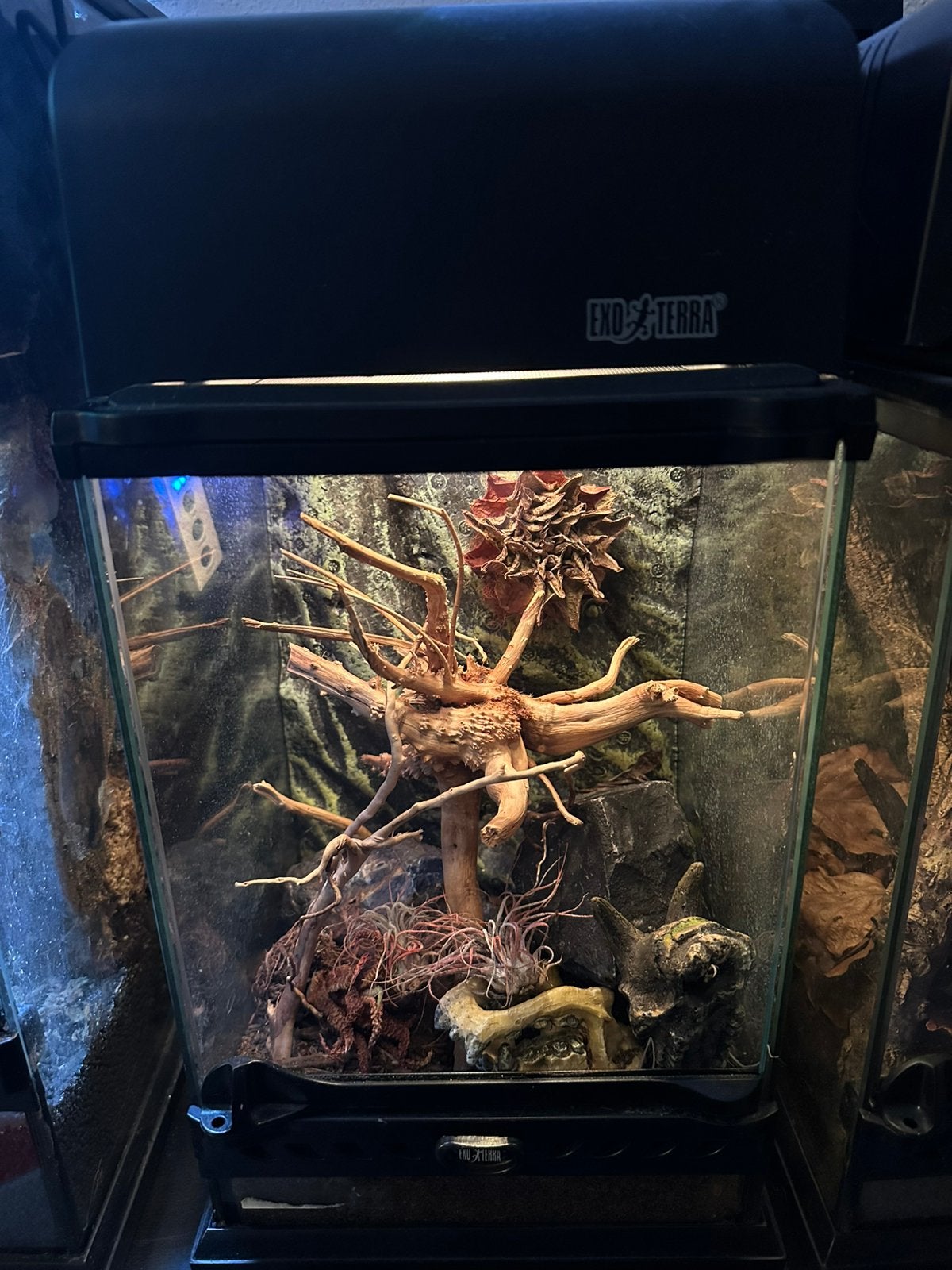 Terrarium exo terra 20x20x30, Dieren en Toebehoren, Ophalen, Zo goed als nieuw