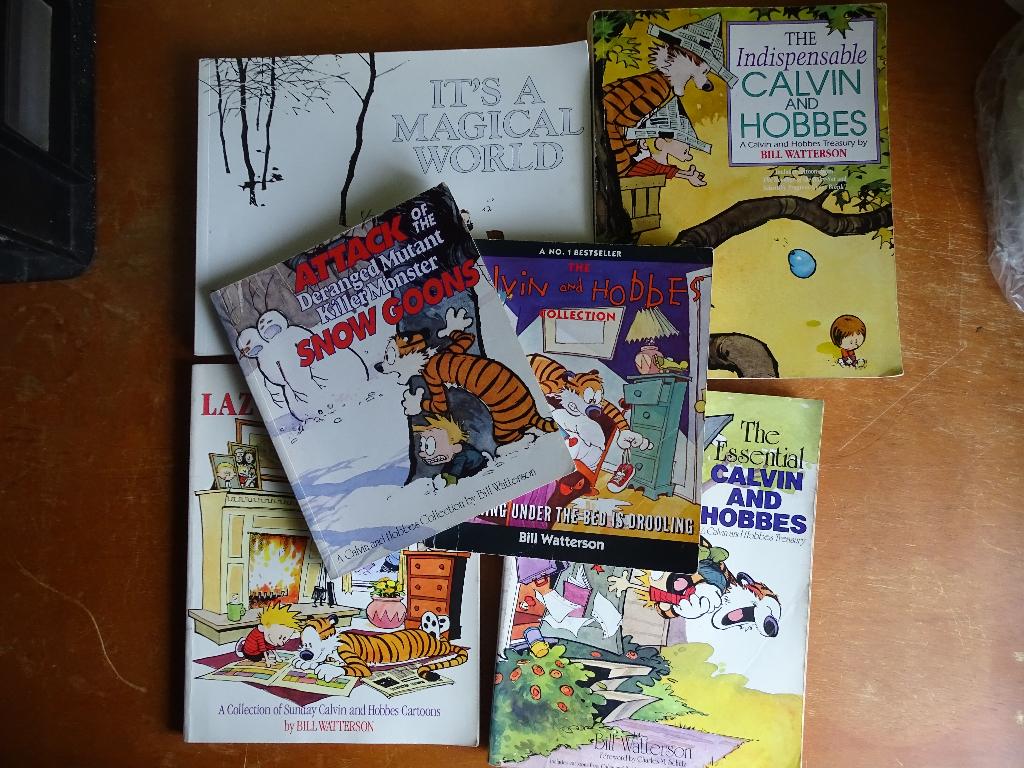 Calvin and Hobbes - Casper en Hobbes Engelstalig, Eén stripboek, Ophalen