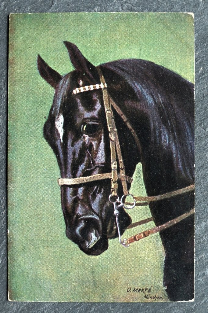 Paard, 1917, Duitse veldpost Bayer. Res.Inf. Rgt 16, Verzamelen, Verzenden, Voor 1920, Gelopen, Paard